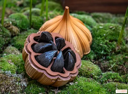 تصویر 1 از پک هفت حبه سیر سیاه ستاره دخت مخصوص مصرف روزانه